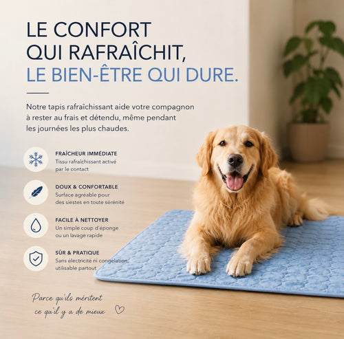 Tapis rafraîchissant pour chien