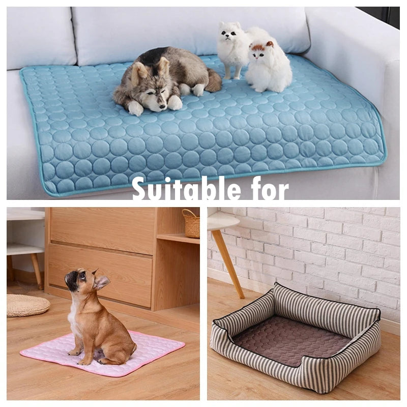 Tapis rafraîchissant pour chien