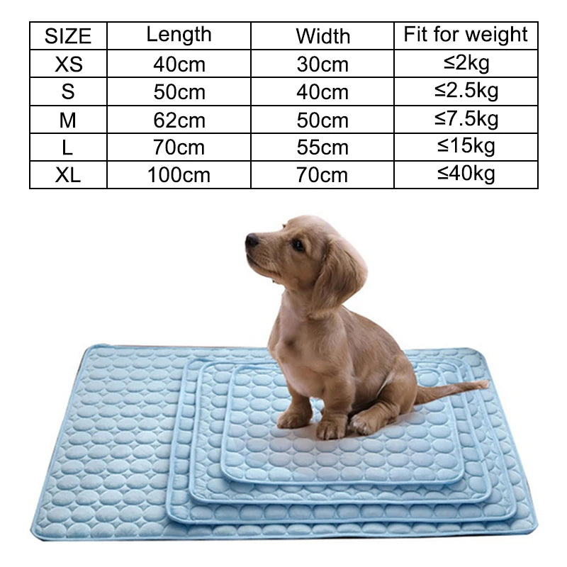 Tapis rafraîchissant pour chien